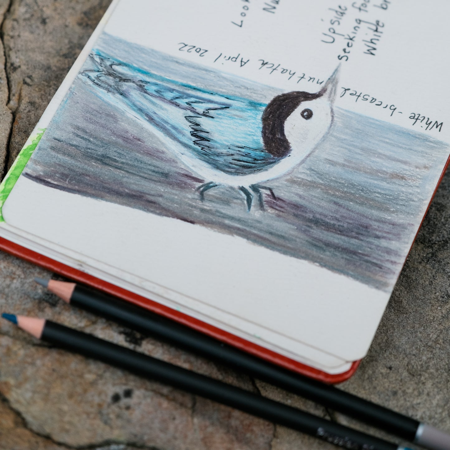 Premium Colored Pencils - 72 Artist-Quality
