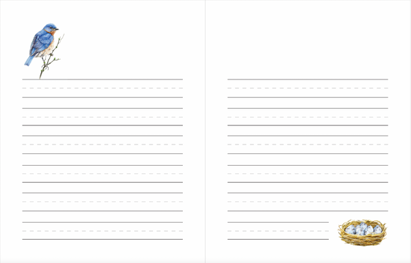 Living Letters: Bible Copywork I Manuscript with Lines