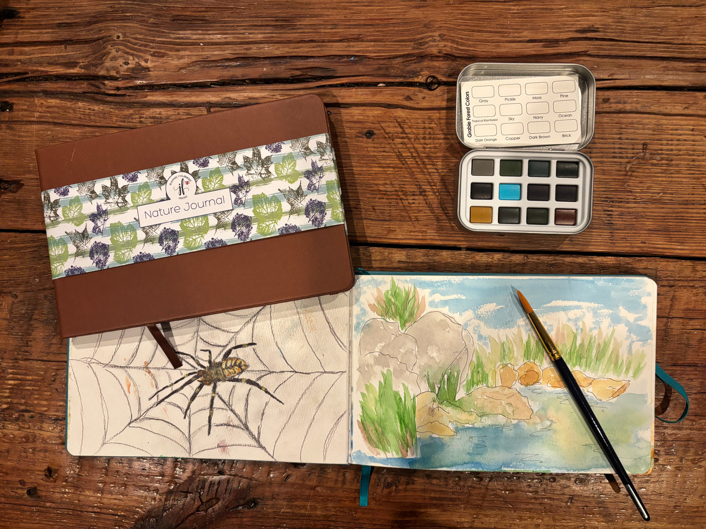 Spider web sketch and a painted stream in a Camel nature journal