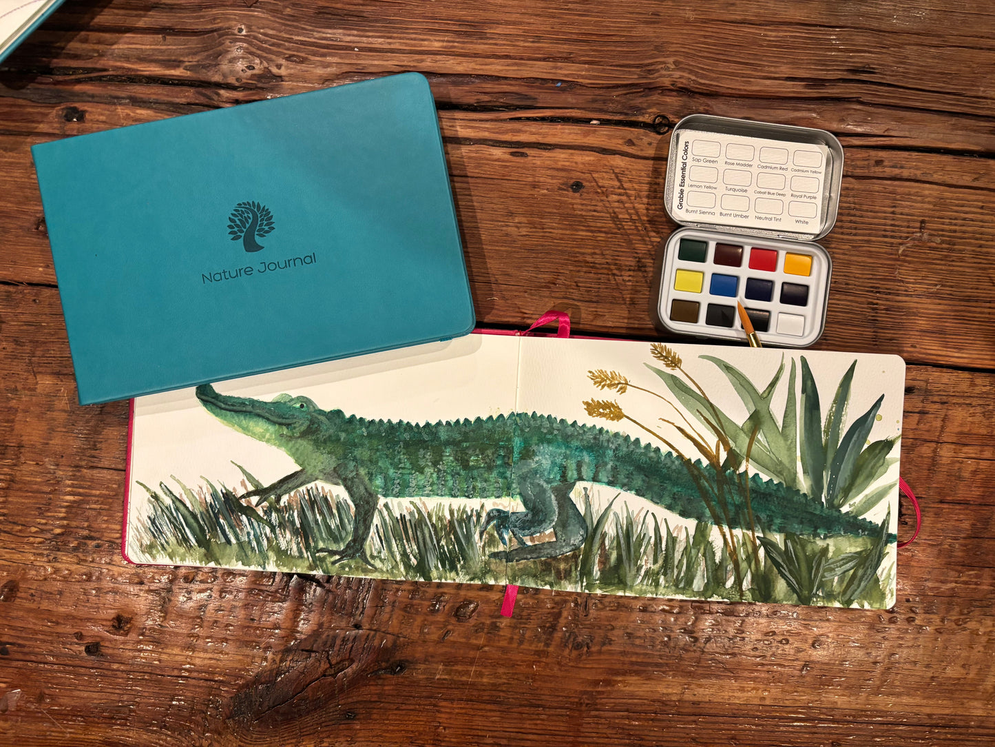 Watercolor alligator painted across a two page spread in an Aquamarine nature journal