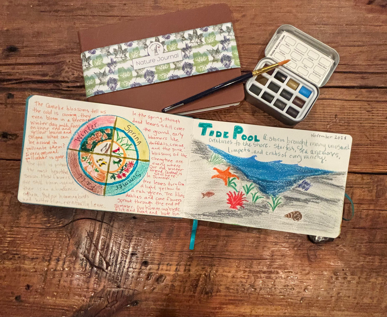Seasons wheel and a tide pool entry in a Camel nature journal