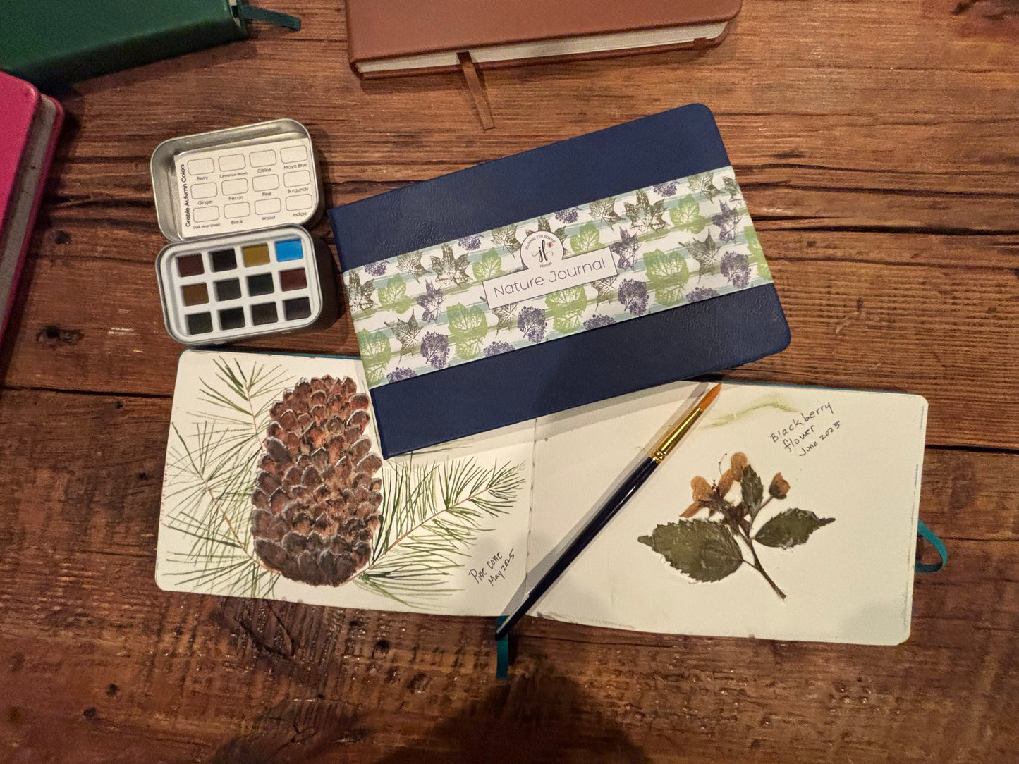 Pine cone and blackberry flower studies in an Ocean Blue nature journal